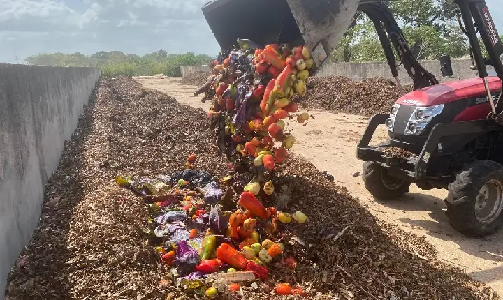 Centro de Compostagem de Boa Vista transforma lixo em adubo orgânico.