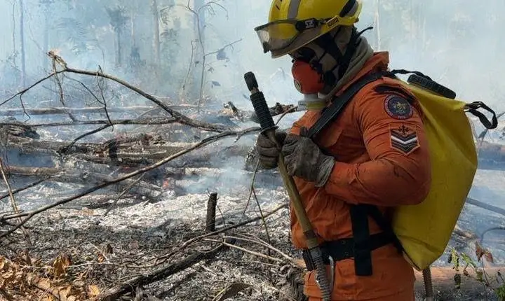 Corpo de Bombeiros de Roraima tem projeto aprovado para combate a incêndios florestais