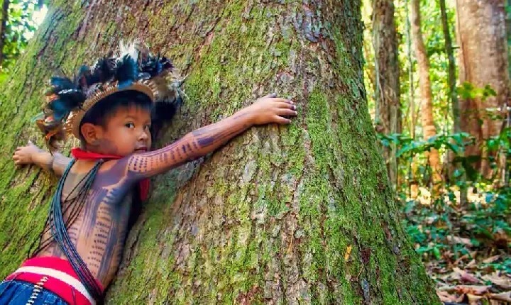 Dia de Proteção às Florestas: Preservando o Pulmão do Mundo