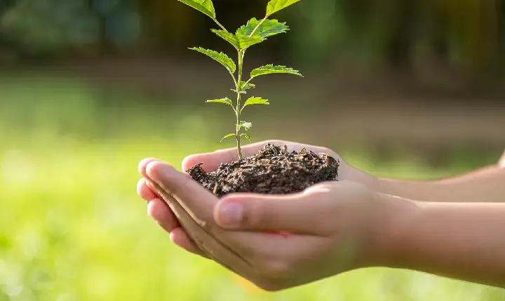 Estão abertas as inscrições para a 3ª Conferência Municipal do Meio Ambiente