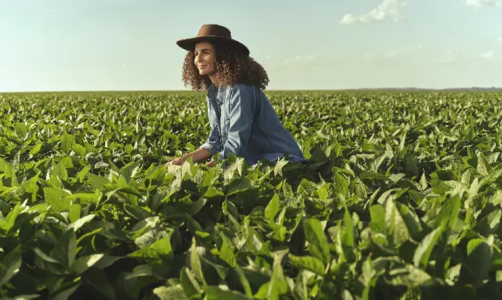 Mudanças climáticas impulsionam a procura por seguros agro em Roraima