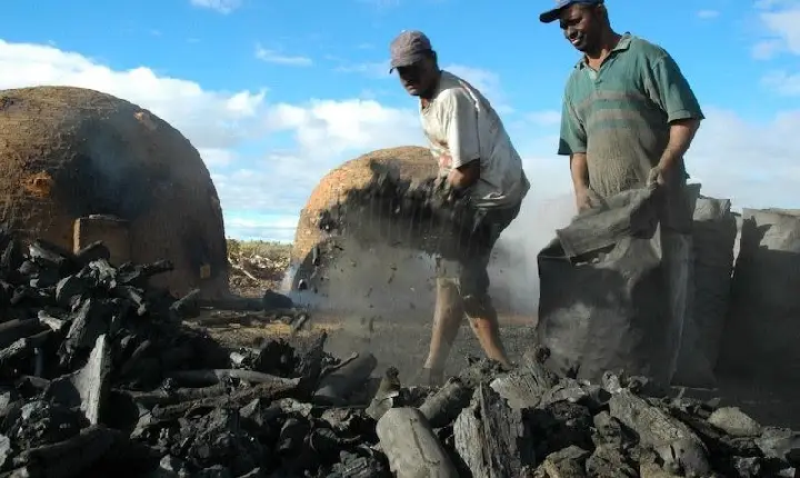 Pessoas negras são maioria entre resgatados do trabalho escravo contemporâneo