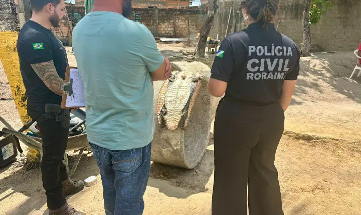 Polícia prende homem por abate ilegal de jacaré no Conjunto Cidadão