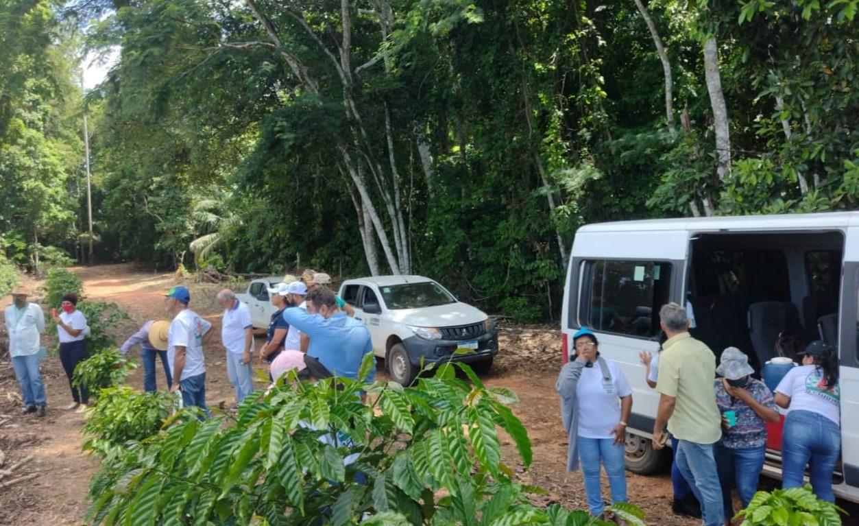 Dia de Campo debate nesta semana produção de café e caju em Roraima