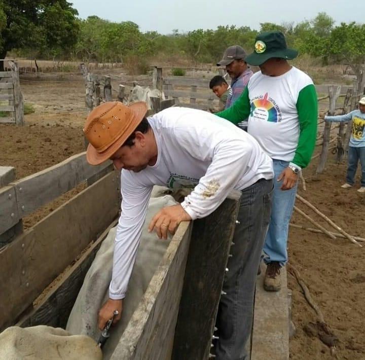 Aderr inicia Agulha Oficial em comunidades indígenas na próxima segunda-feira (10)