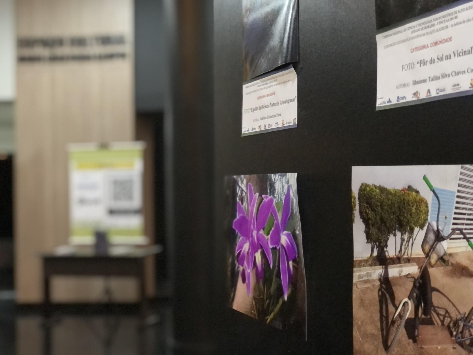 Exposição fotográfica e lançamento de livro sobre Alto Alegre está aberto para visitas