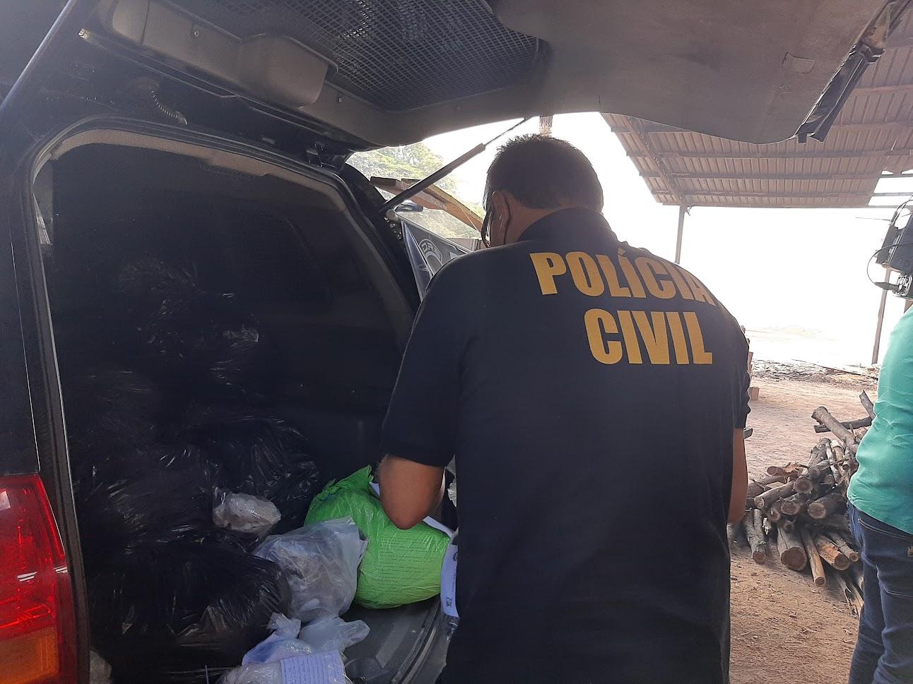 Polícia Civil de Roraima reforça ações de prevenção e repressão no combate drogas