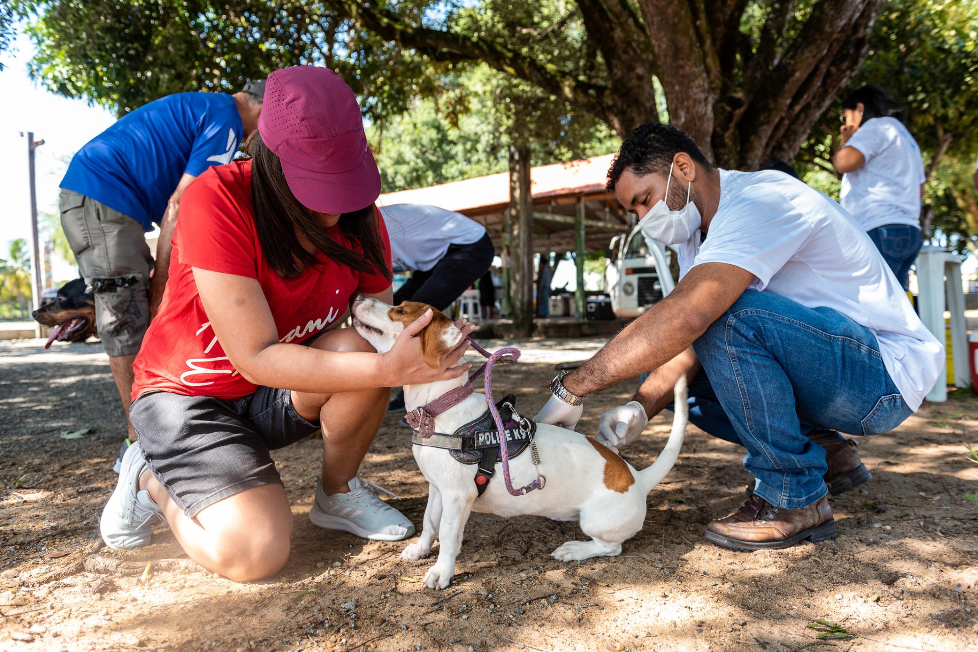 Vacinação de cães e gatos ocorre neste sábado, 19, em pontos fixos em Boa Vista