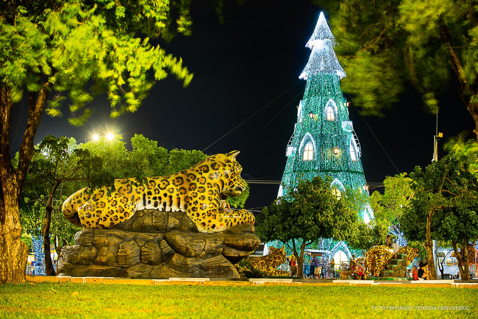 Acendimento das Árvores de Natal e espetáculos no teatro são os destaques deste fim de semana