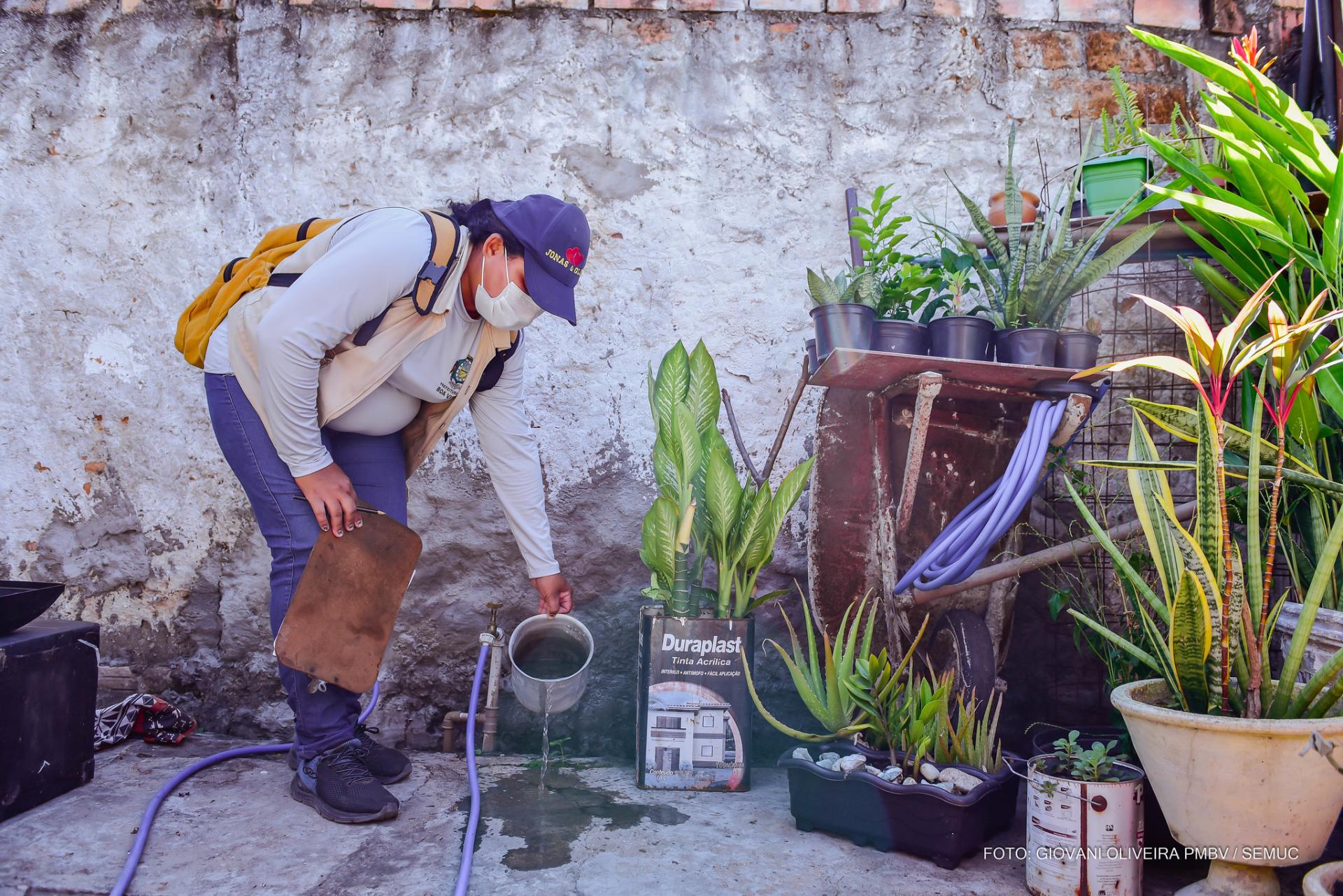 Boa Vista apresenta médio risco para epidemia de dengue, zika e chikungunya