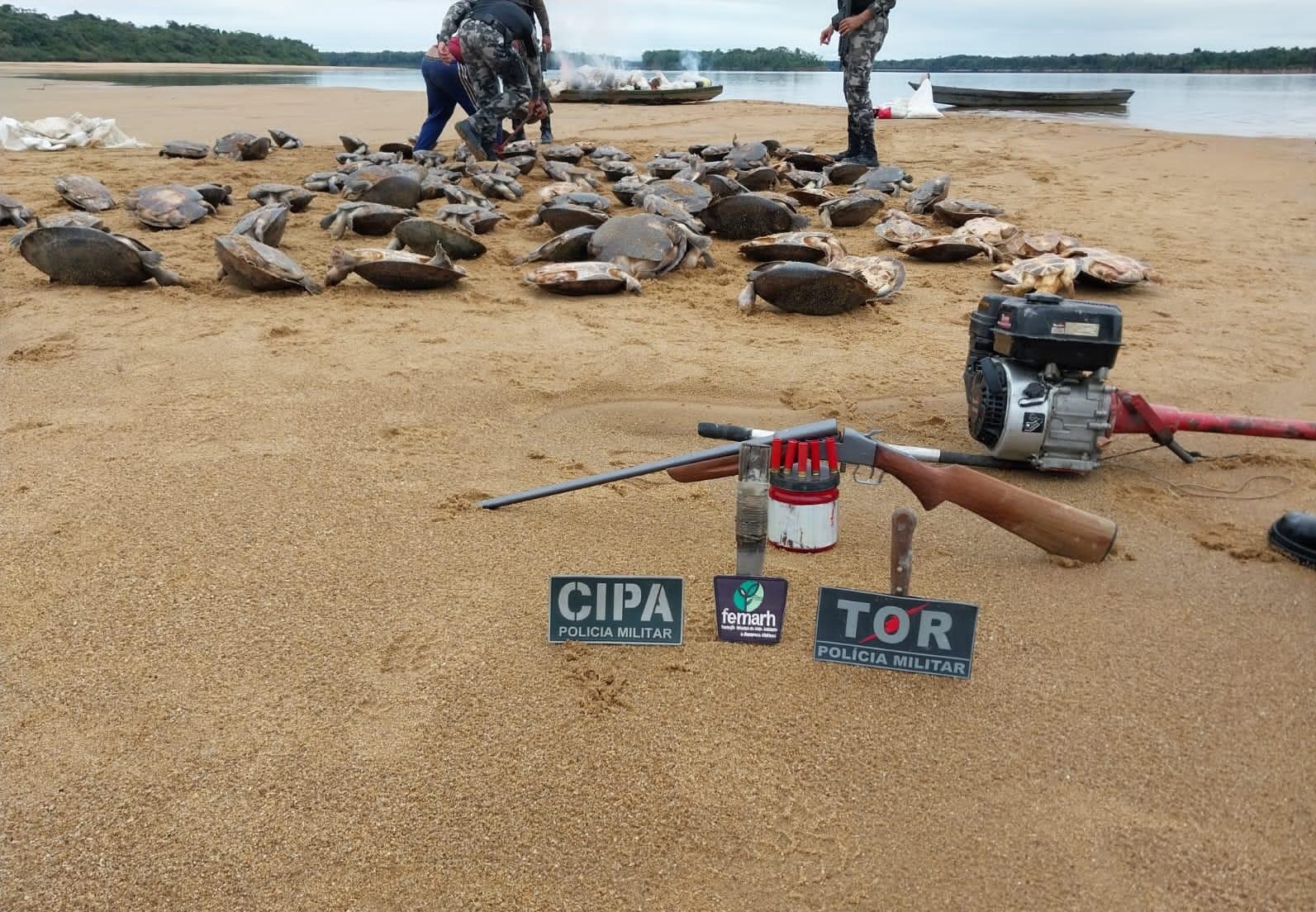 Ação conjunta da Femarh e Cipa resgata mais de 100 tartarugas e apreende equipamentos