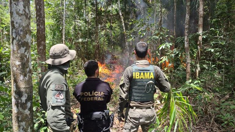 PF intensifica combate ao garimpo ilegal na Terra Indígena Yanomami