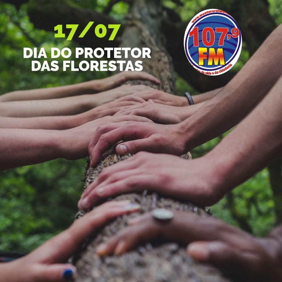 17 de julho,  Dia de Proteção às Florestas