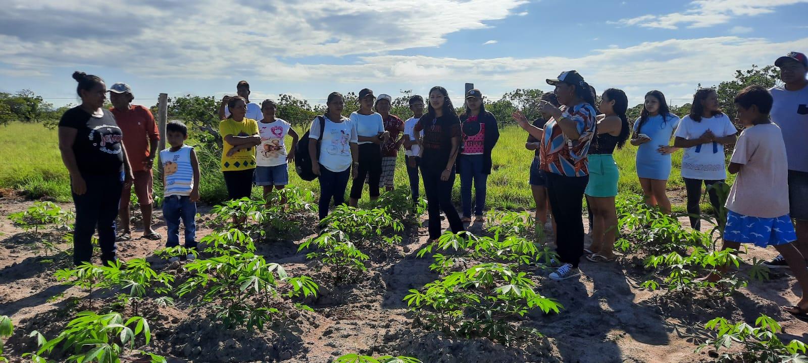 Comunidades Jauari e Livramento apresentam projetos de agricultura, bovinocultura e artesanato