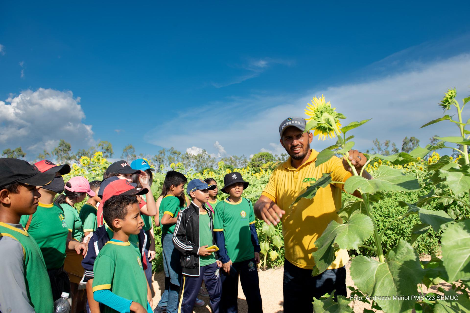 Alunos de Boa Vista visitam Campo de girassóis do CDT