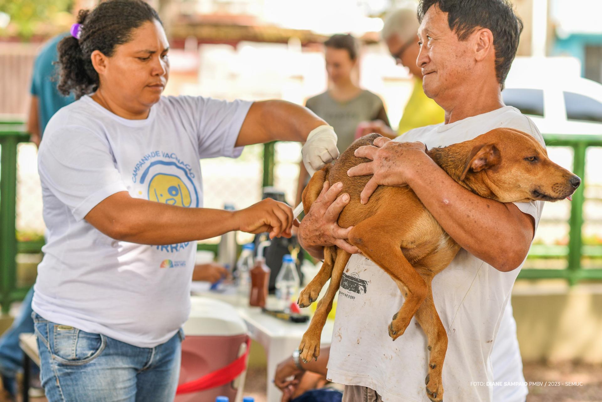 Campanha de vacinação para cães e gatos segue em Boa Vista neste sábado (12)