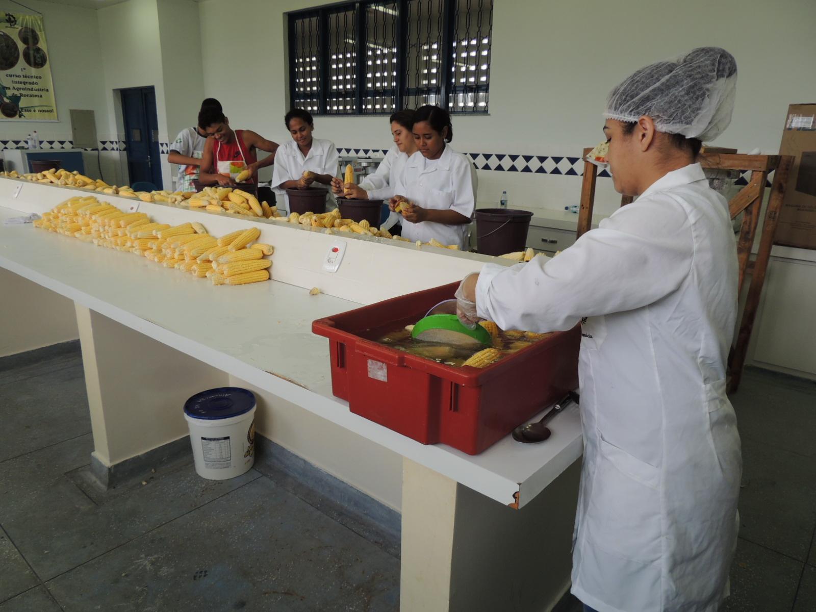 IFRR em Novo Paraíso lança curso técnico na modalidade EAD