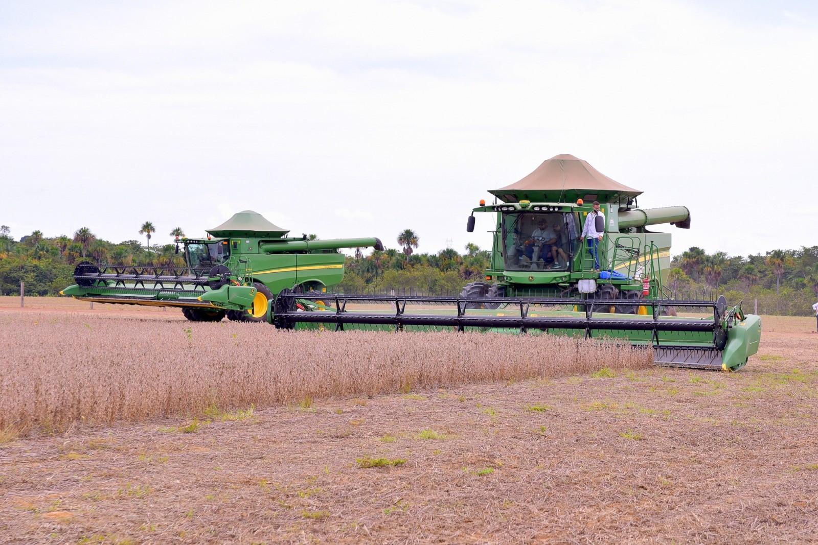 Produtores de Roraima esperam colher 360 mil toneladas de soja