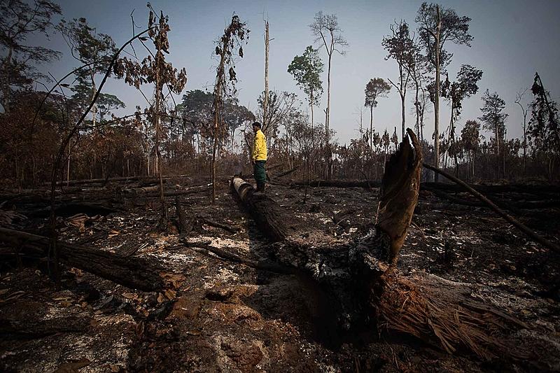 Audiência pública sobre mudanças climáticas em Roraima alerta para riscos e pede ações urgentes contra queimadas