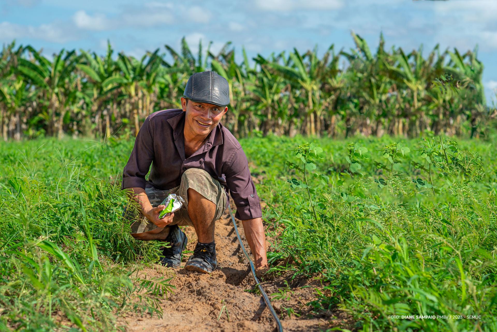 Com apoio da prefeitura, agricultores indígenas de Boa Vista iniciam plantio de Melancia