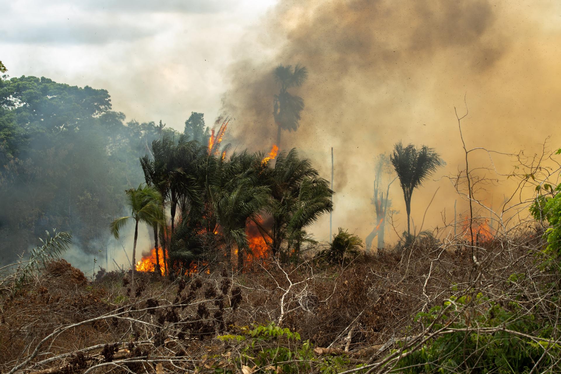 Marina reforça brigadistas para combater queimadas no Amazonas