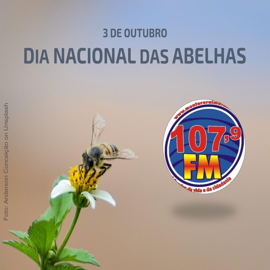 3 de Outubro: Celebrando o Dia Nacional das Abelhas