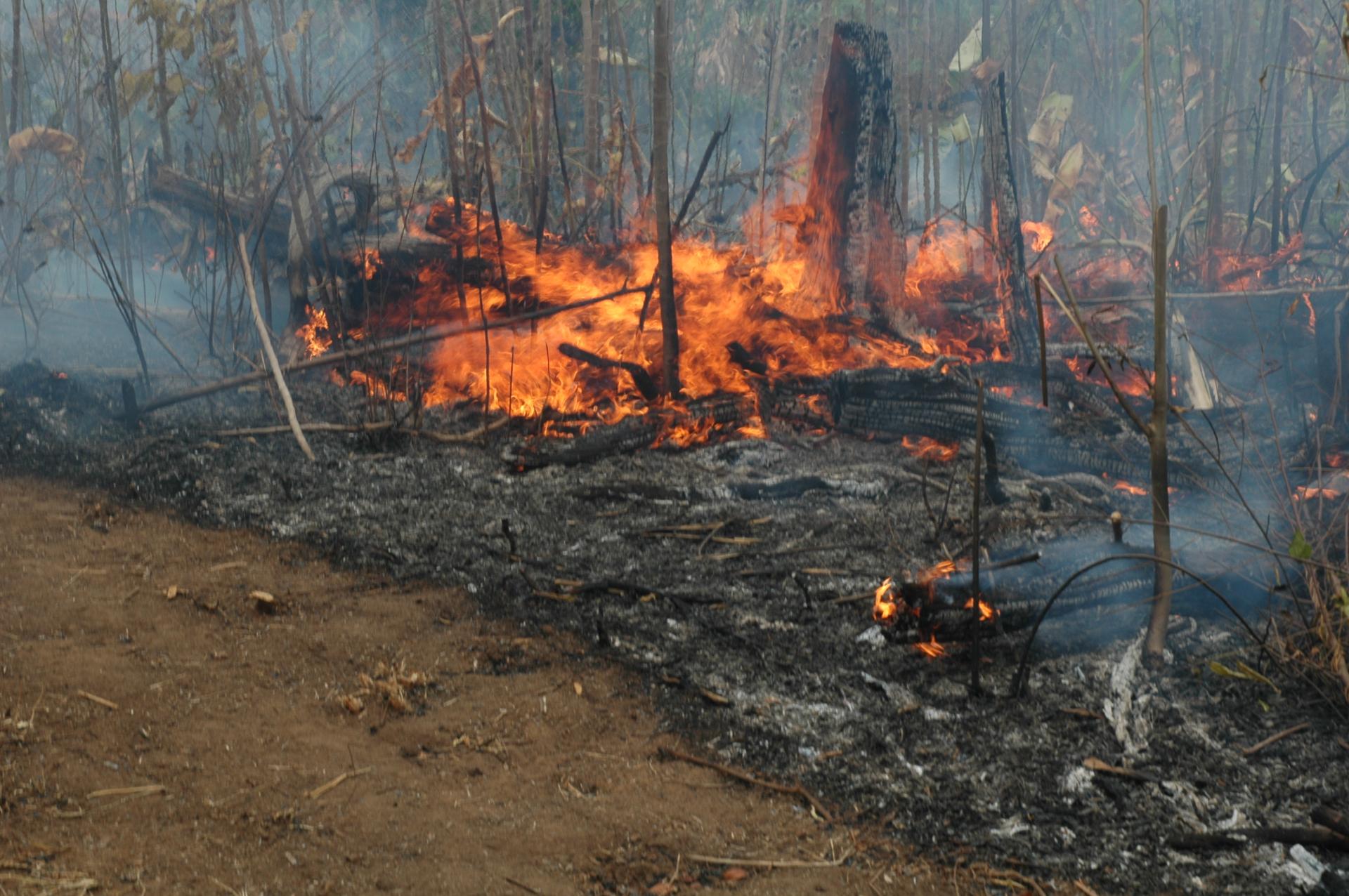 Calendário de queimadas em Roraima segue aberto até o dia 8 de dezembro