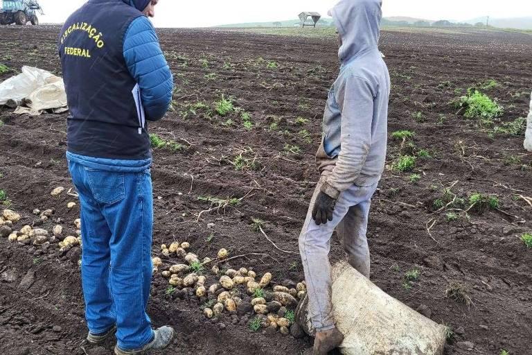 Número de resgatados de trabalho análogo à escravidão é recorde