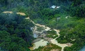 Garimpo desacelera, mas segue inviabilizando saúde do povo Yanomami