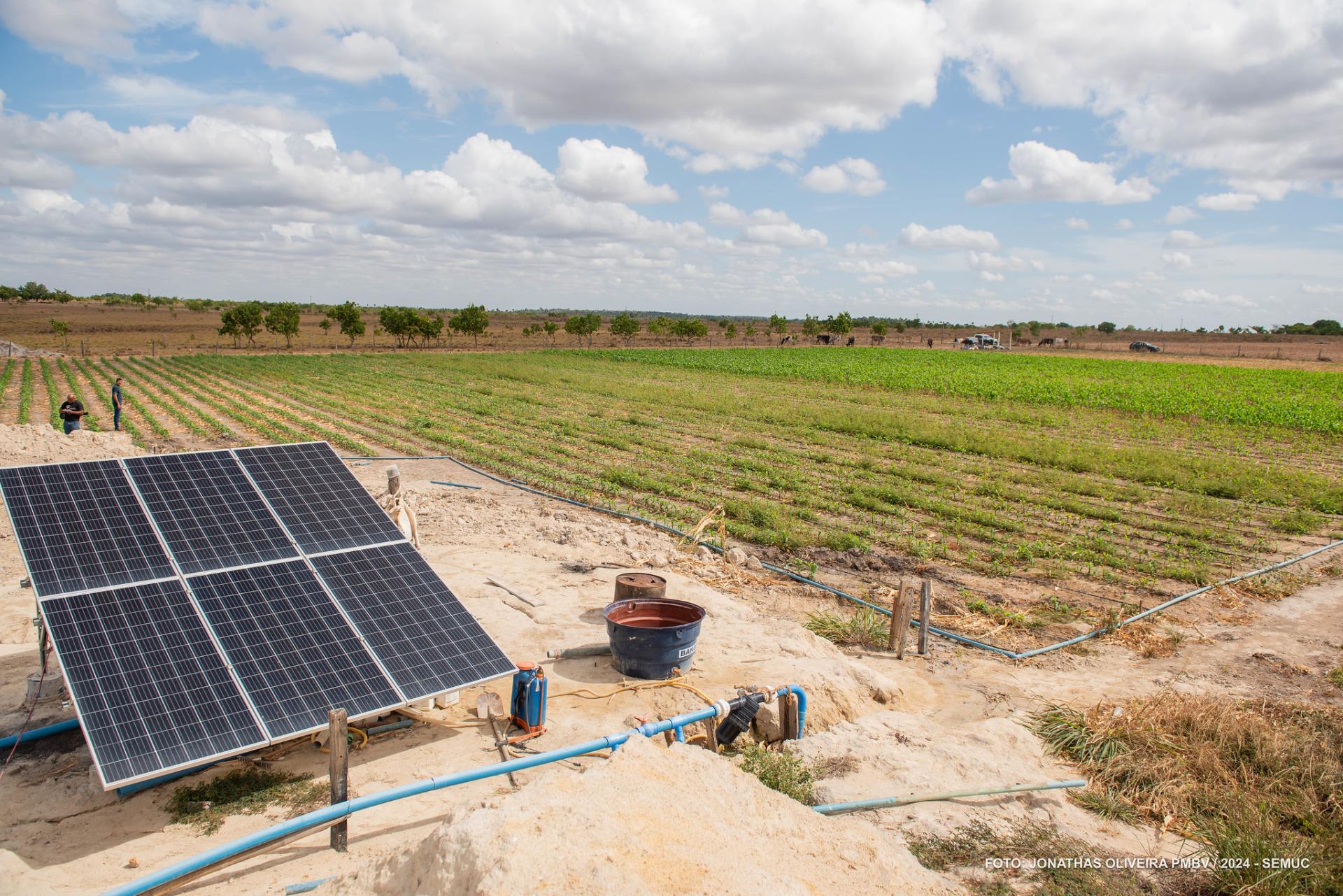 Irrigação com energia solar é alternativa para agricultores no período de estiagem