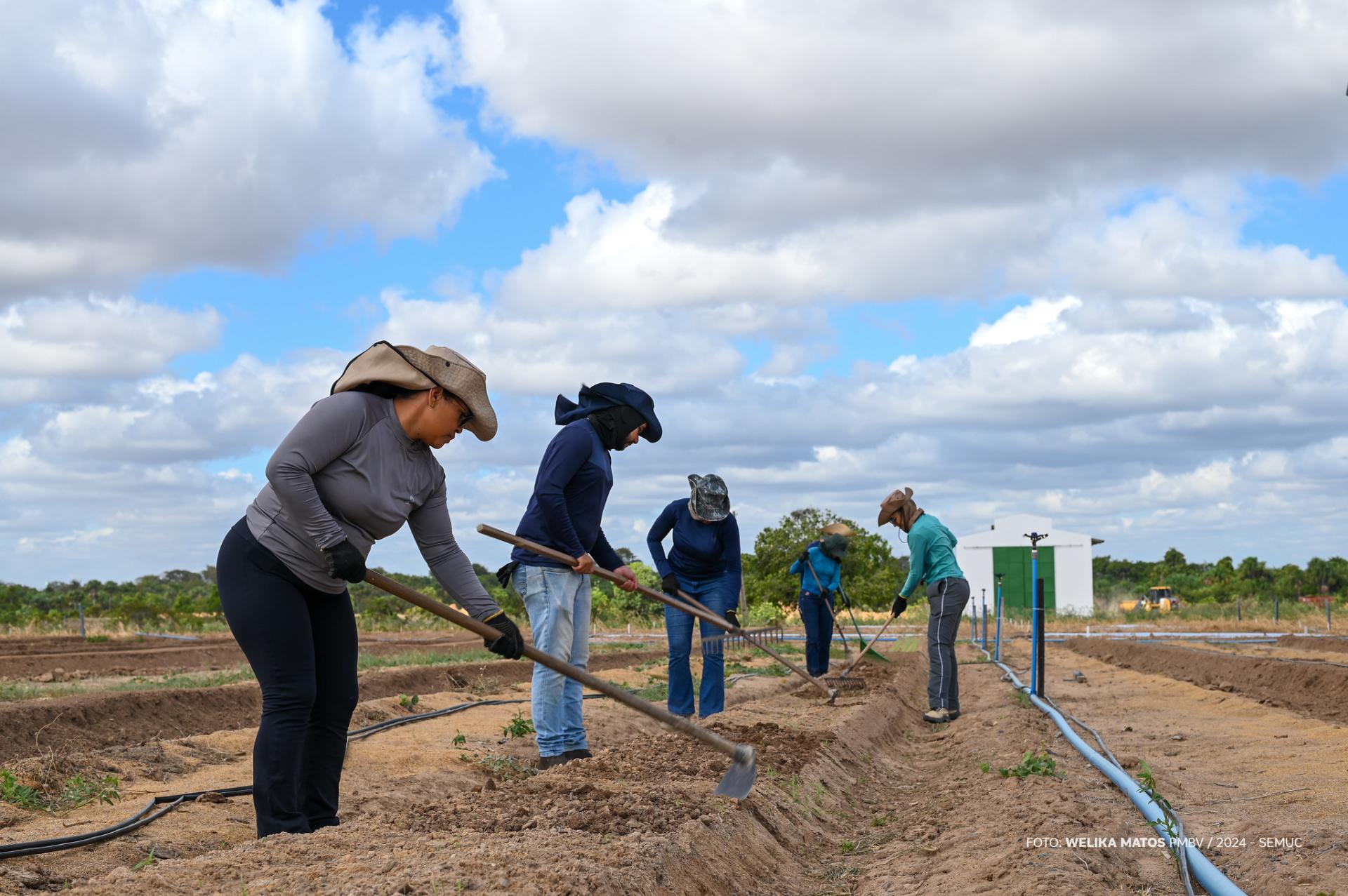 Prefeitura inicia preparativos para o 2º Dia de Campo em Hortifruticultura de Boa Vista