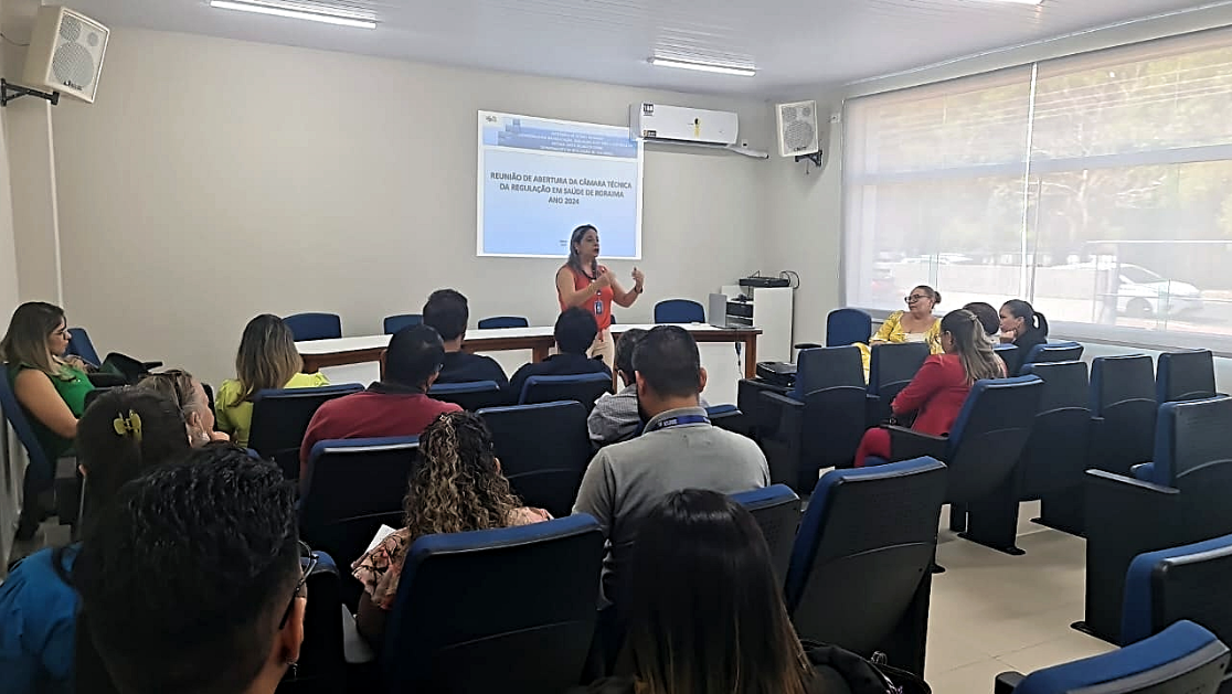 Câmara Técnica discute a organização dos fluxos de atendimentos no SUS em Roraima