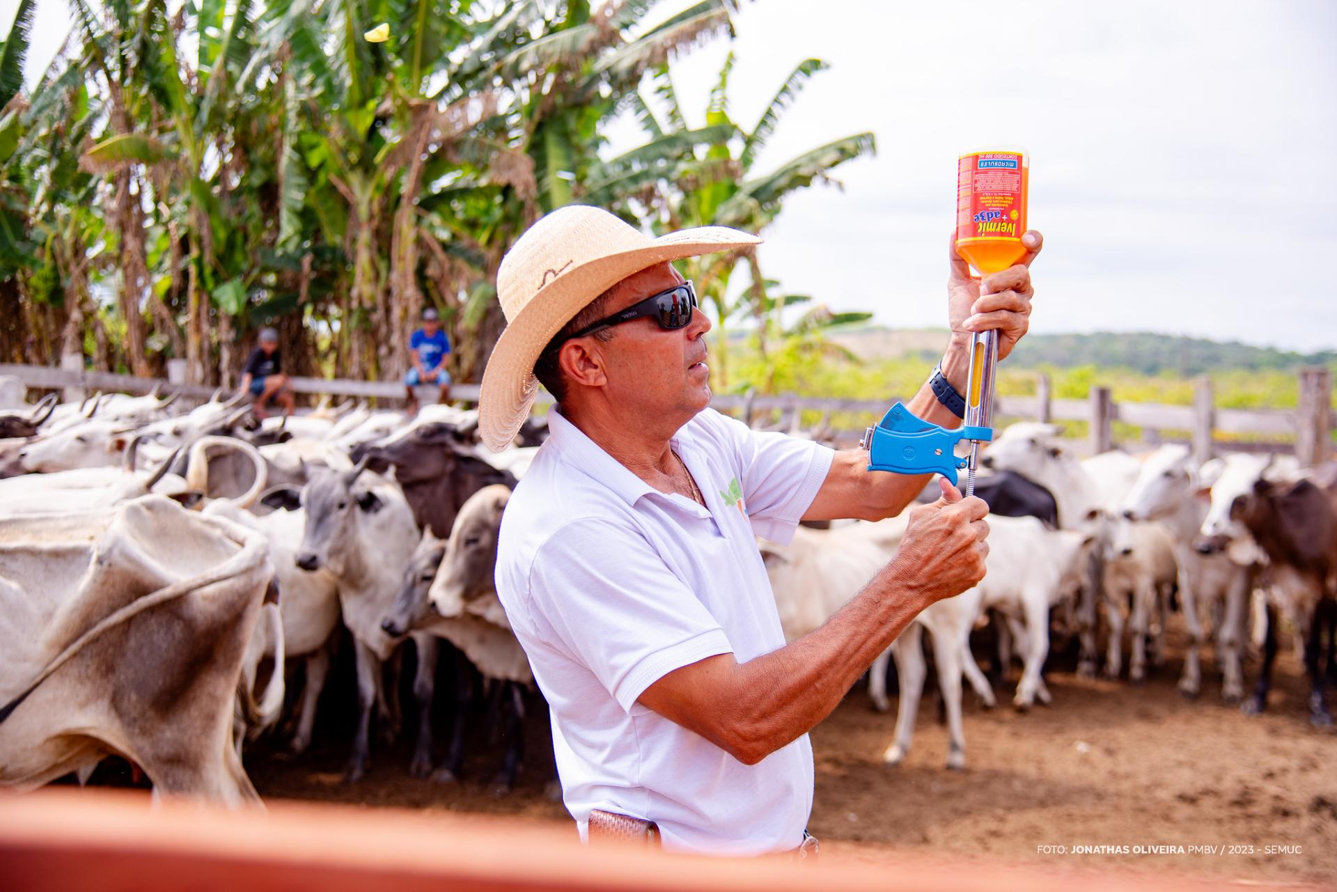 Campanha de Vacinação Contra a Febre Aftosa inicia nas comunidades indígenas de Boa Vista