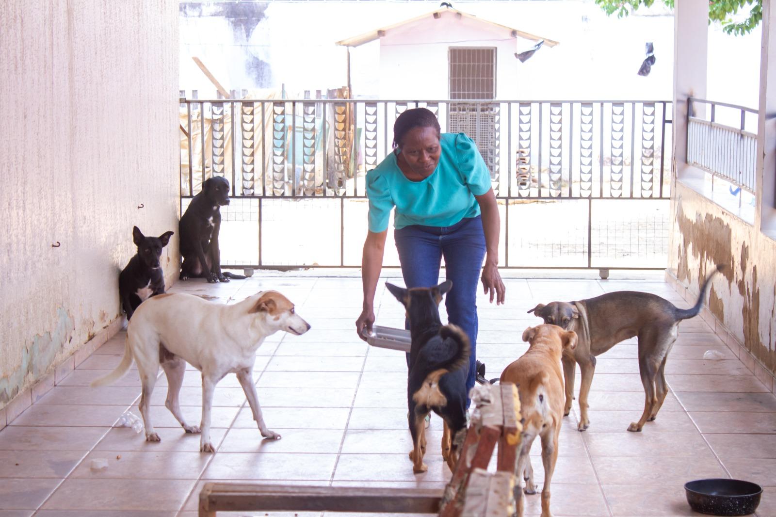 Semana de conscientização busca instruir população sobre guarda responsável e coibir abandono de animais