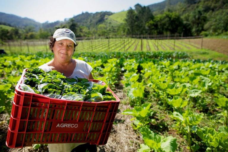 Programa de Aquisição de Alimentos: mulheres são maioria na produção e na inclusão alimentar