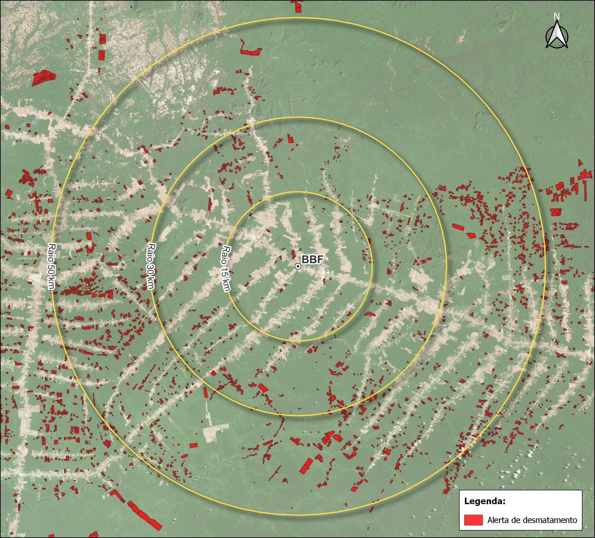 Áreas próximas às operações do Grupo BBF em Roraima possuem 85% menos alerta de desmatamento