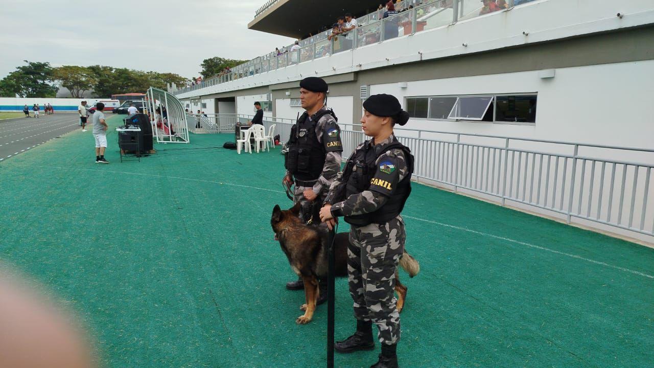 Canil da Polícia Militar está recebendo doações de ração e medicamentos para animais resgatados