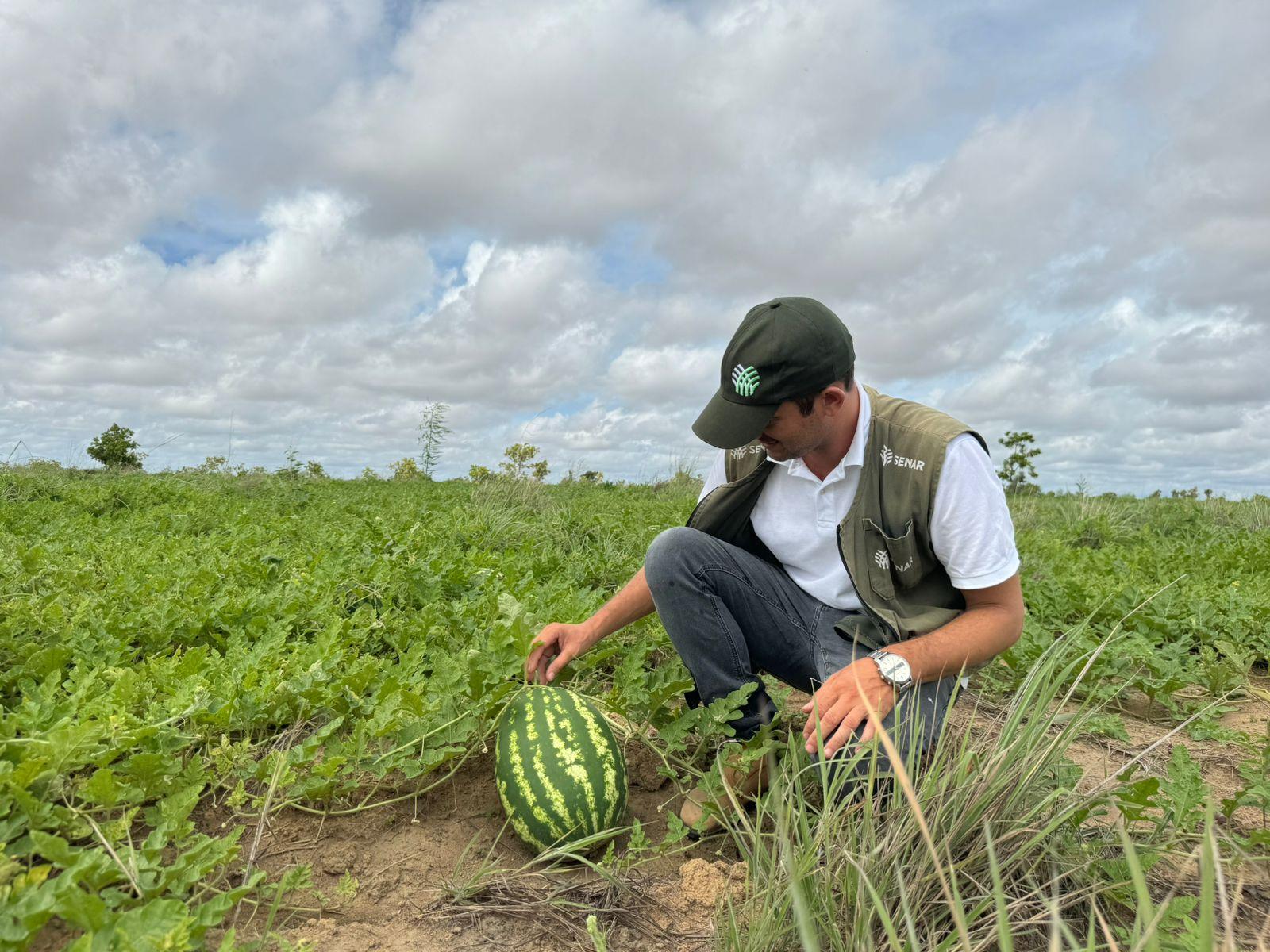 Senar Roraima abre credenciamento para técnicos de campo