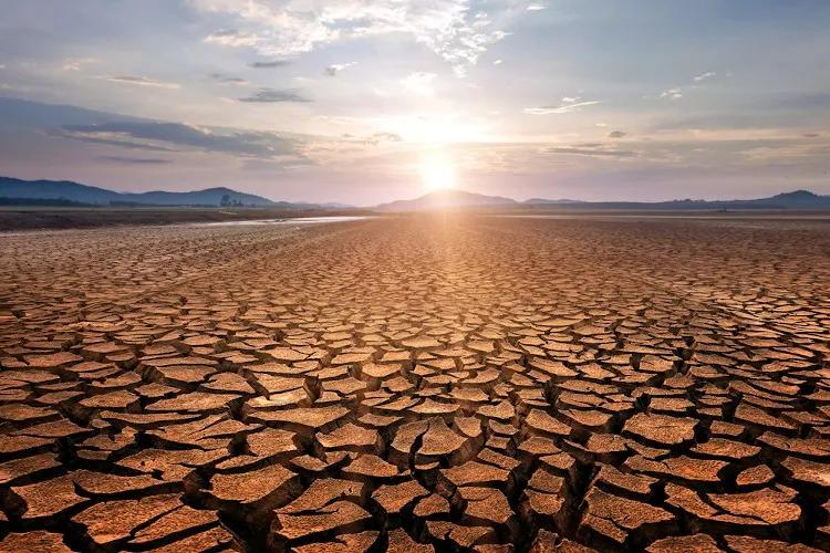 Dia do Meio Ambiente destaca ações de enfrentamento à desertificação