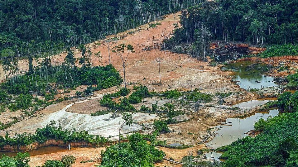 Apreensões e Prisões Marcam Operação na Terra Yanomami