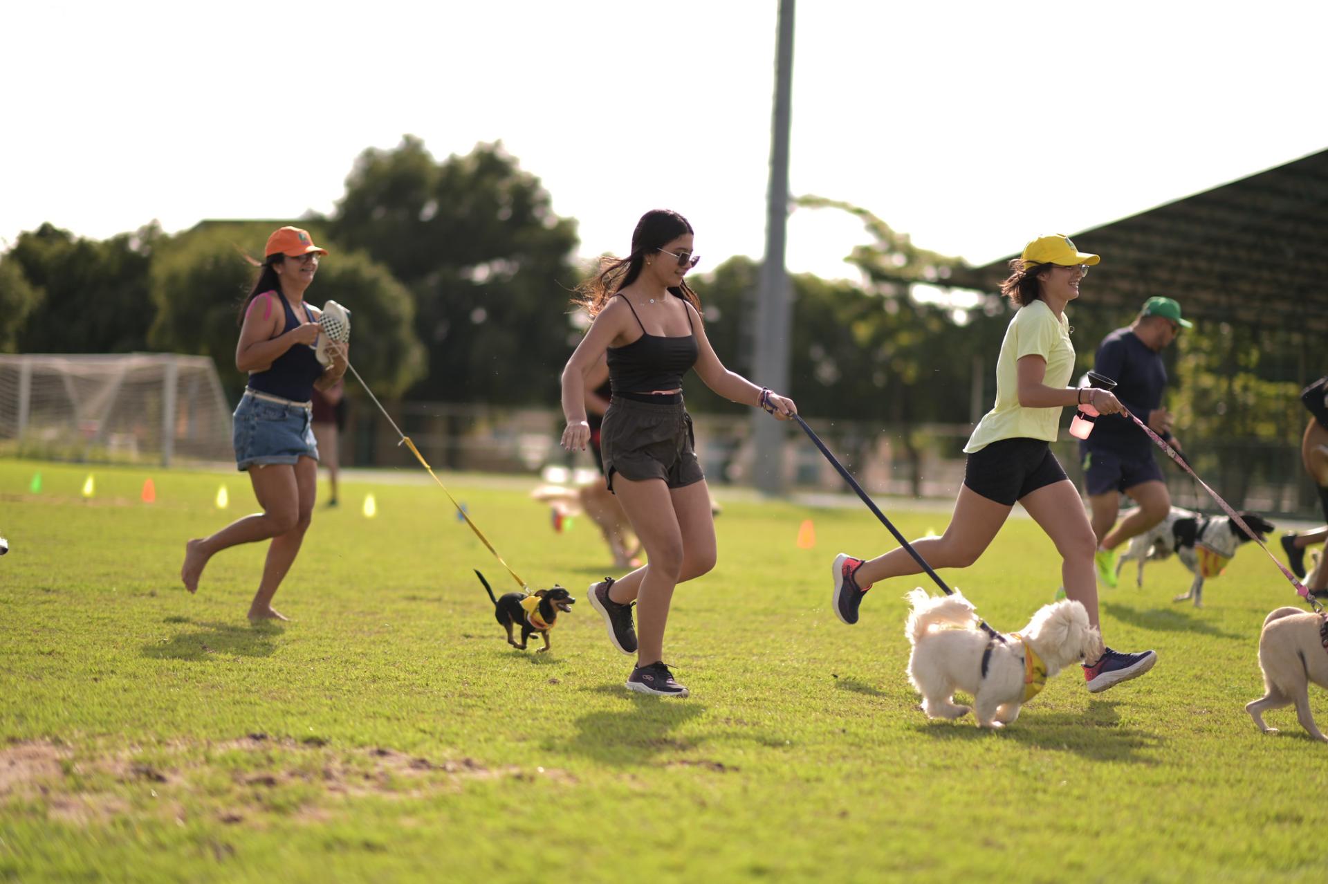 Com fofura e determinação, 200 animais participaram da 2ª edição da Corridinha Pet.