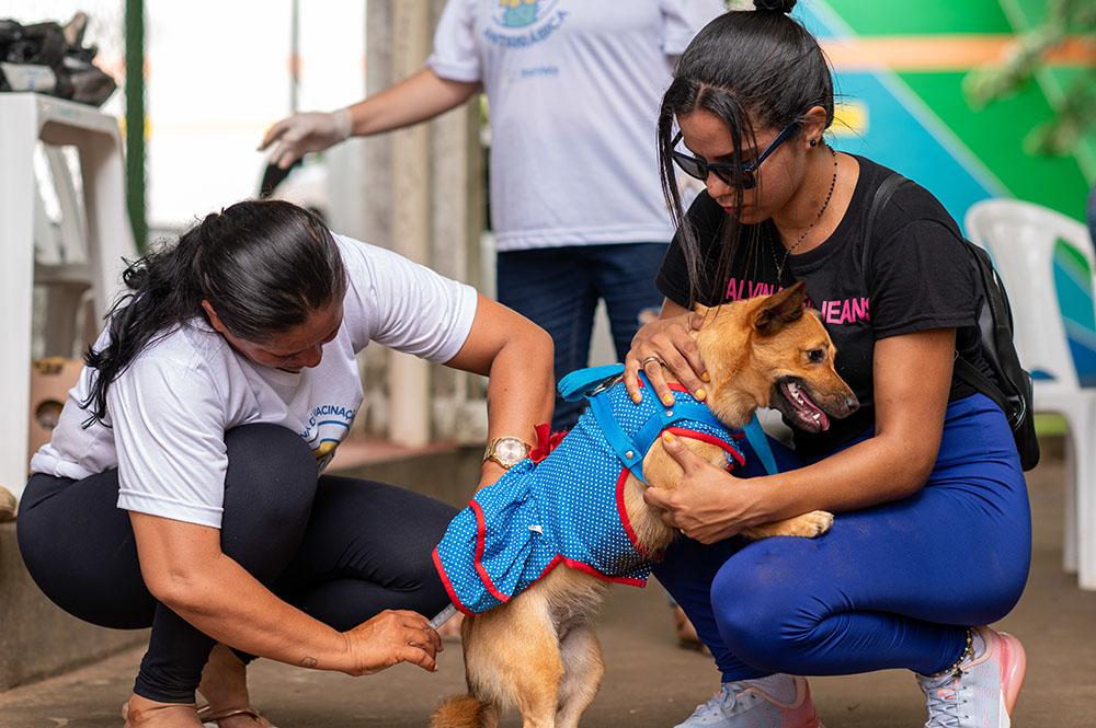 Vacinação Antirrábica começa neste sábado, 03, em Boa Vista