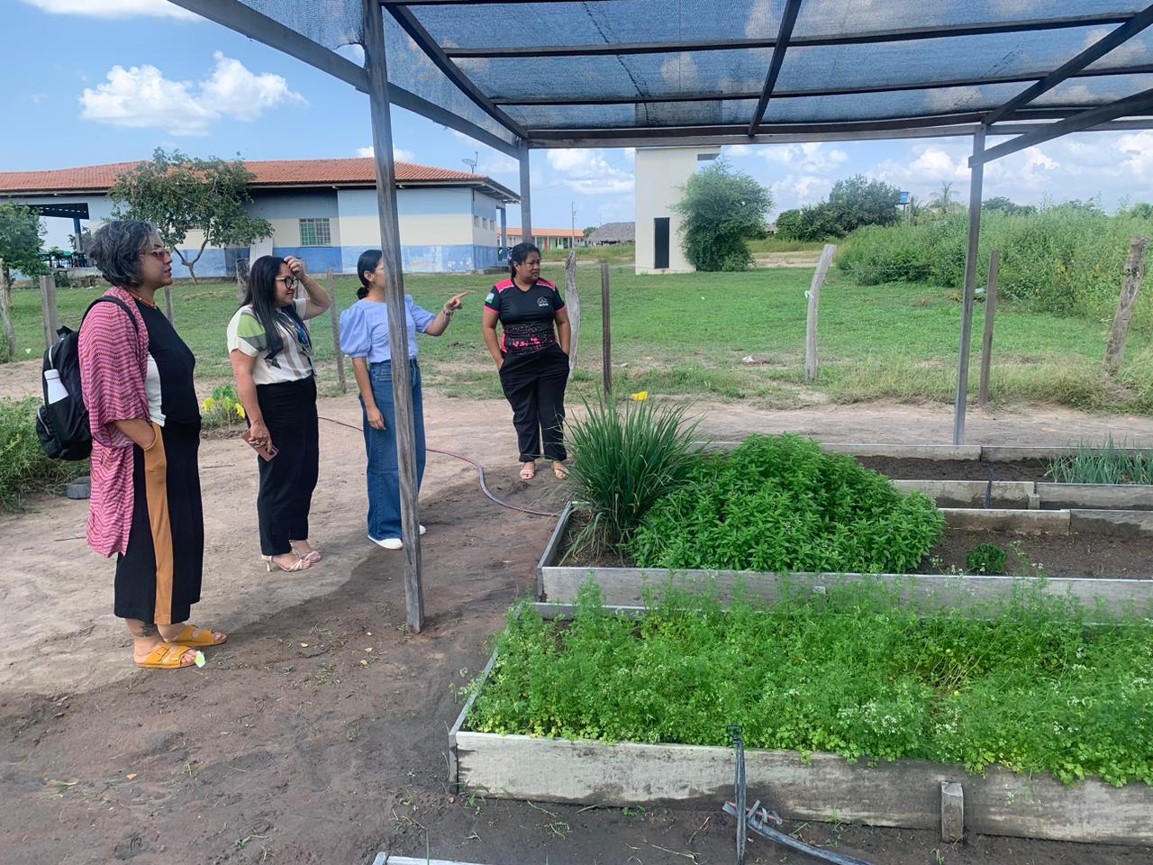 Consultora do MEC visita Roraima para discutir a VI Conferência Nacional Infanto-Juvenil pelo Meio Ambiente