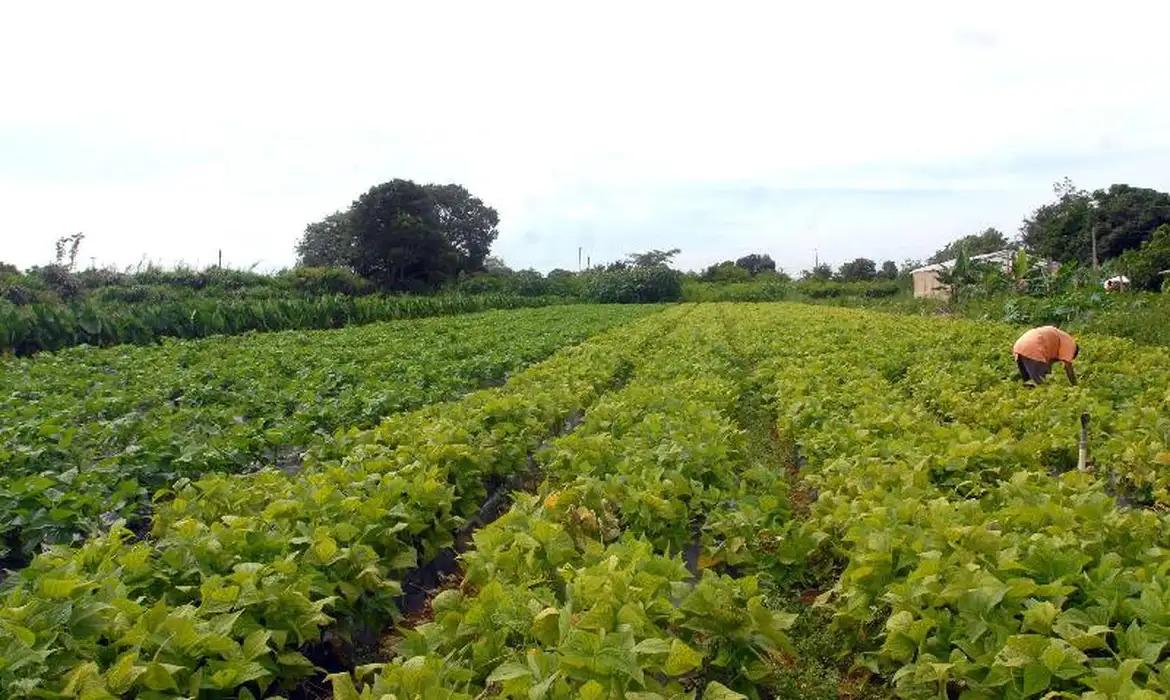 Ministério do Desenvolvimento Agrário e Agricultura Familiar Lança Novo Plano Safra da Agricultura Familiar em Roraima