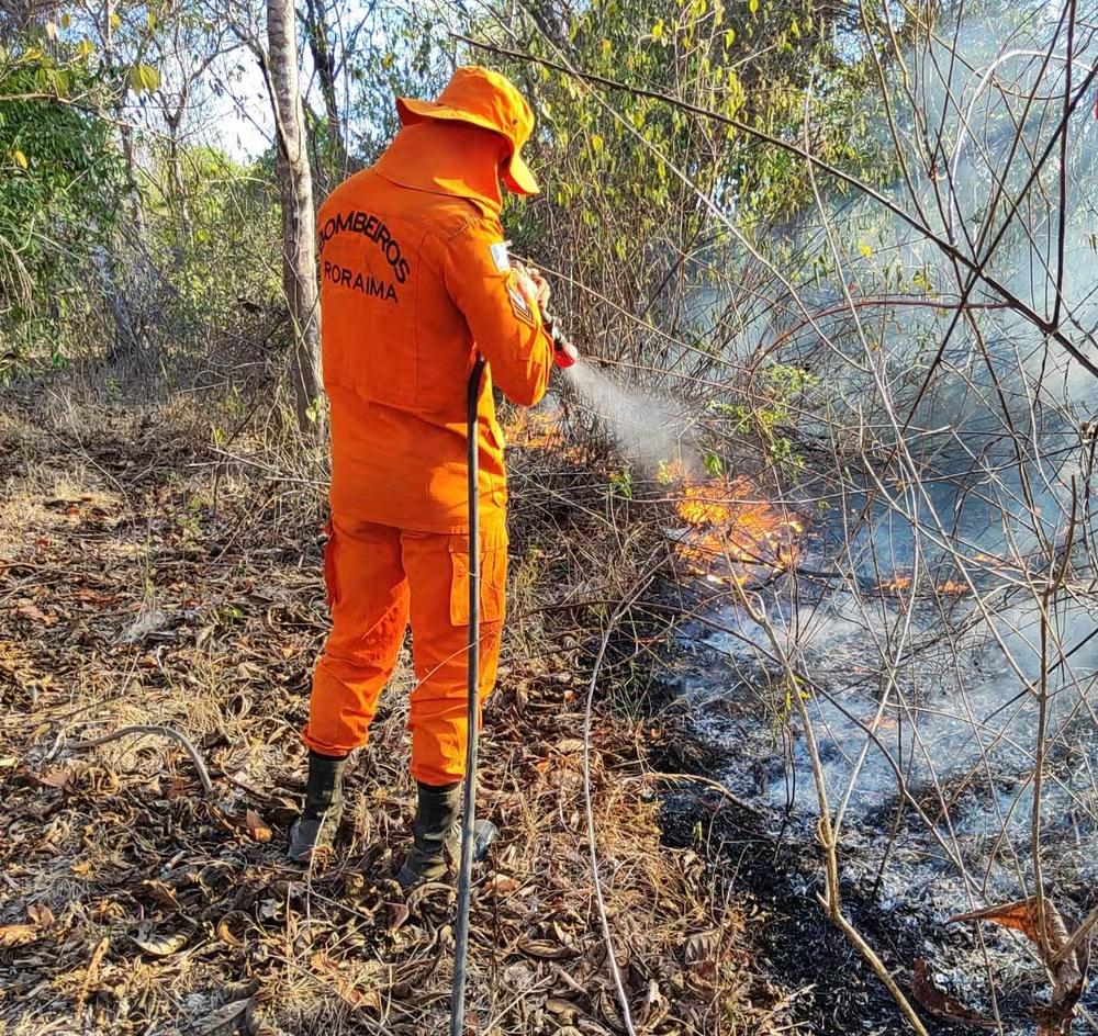 Brasil registra mais de 154 mil focos de calor em 2024